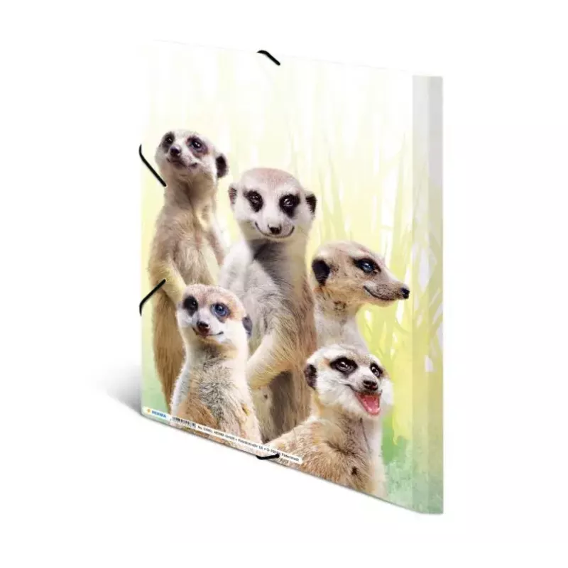 Įprastas dokumentų aplankas HERMA Meerkat troop 19961