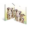 Įprastas dokumentų aplankas HERMA Meerkat troop 19961