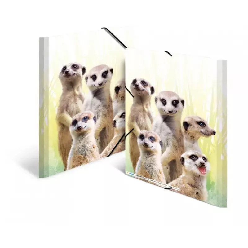 Įprastas dokumentų aplankas HERMA Meerkat troop 19961