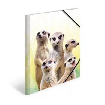 Įprastas dokumentų aplankas HERMA Meerkat troop 19961