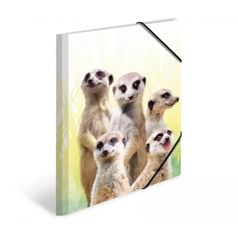Įprastas dokumentų aplankas HERMA Meerkat troop 19961