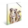 Įprastas dokumentų aplankas HERMA Meerkat troop 19961