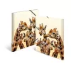 Įprastas segtuvas HERMA Giraffe friends Polipropilenas A3