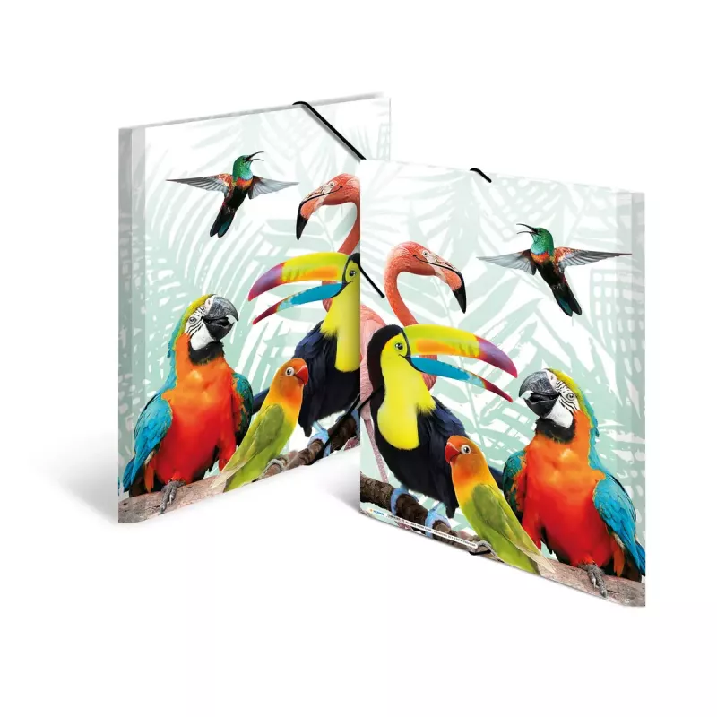 Tradicinis dokumentų aplankas HERMA Tropical clique A3