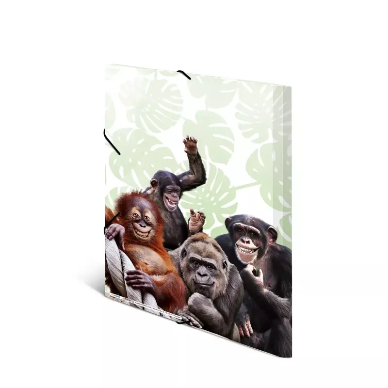 Tradicinis segtuvas HERMA Monkey gang Polipropilenas A3