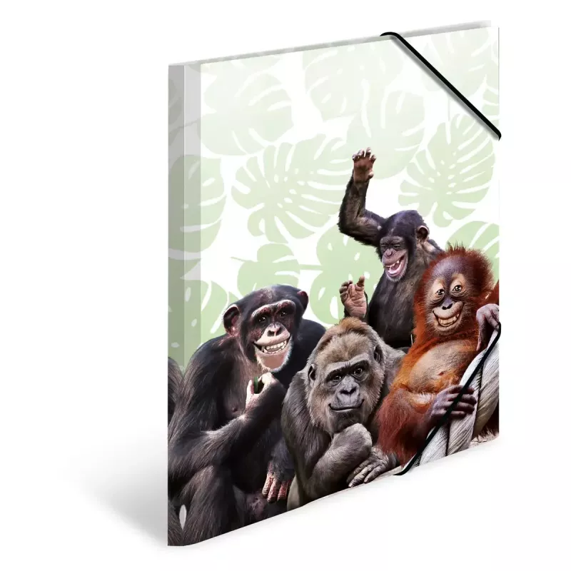 Tradicinis segtuvas HERMA Monkey gang Polipropilenas A3