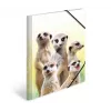 Tradicinis segtuvas HERMA Meerkat troop