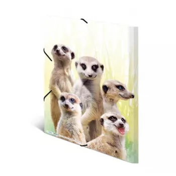 Tradicinis segtuvas HERMA Meerkat troop