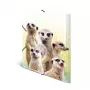 Tradicinis segtuvas HERMA Meerkat troop