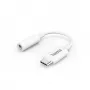 Hama 00139540 garso laidas 3,5 mm USB Type-C baltas
