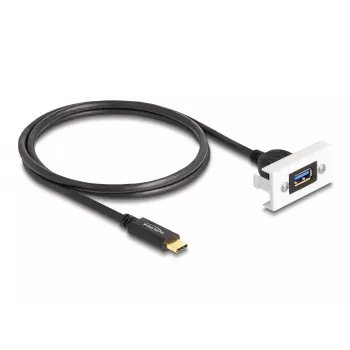 DeLOCK Easy 45 modulis SuperSpeed USB 10 Gbps USB Type-A lizdas į USB Type-C kištukas