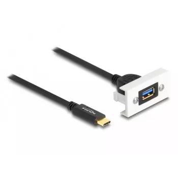DeLOCK Easy 45 modulis SuperSpeed USB 10 Gbps USB Type-A lizdas į USB Type-C kištukas