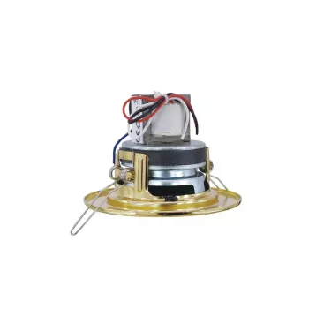 2 krypčių garsiakalbis Omnitronic 80710203 Auksinis Laidinis 6 W