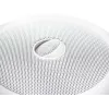 Dviejų krypčių kolonėlė Omnitronic 80710232 balta laidinė 40 W