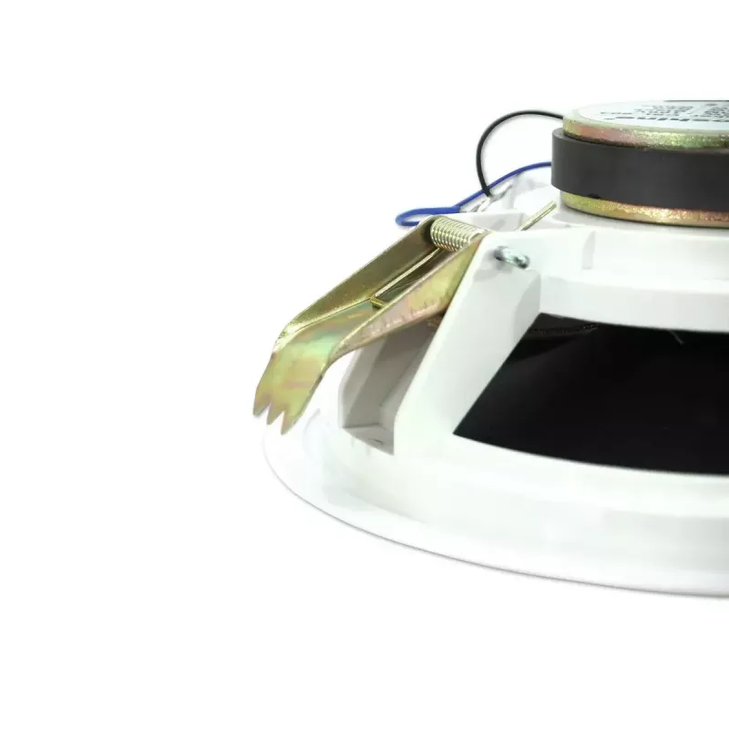 Plačiajuostis garsiakalbis Omnitronic 80710242 baltas laidinis 10 W