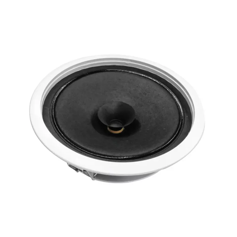 Plačiajuostis garsiakalbis Omnitronic 80710242 baltas laidinis 10 W