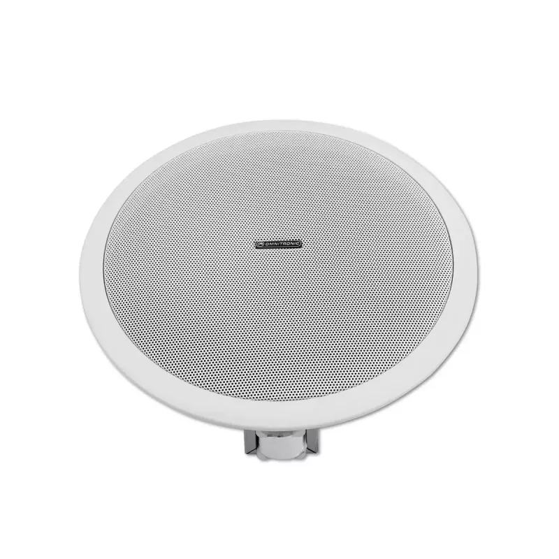 Plačiajuostis garsiakalbis Omnitronic 80710242 baltas laidinis 10 W