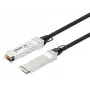 Intellinet 3m 40G QSFP+ Passive Direct Attach Copper Twinax kabelis 30AWG MSA QSFP-H40G-CU3M Suderinama