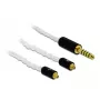 Garso kabelis DeLOCK 85846 1,2 m 4,4 mm 2x MMCX baltas