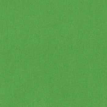 Foninis ekranas Hama 00021158 Žalias Medvilnė 2950mm x 6000mm