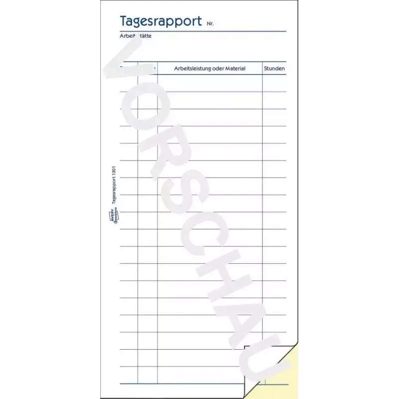 Accounting form/book AVERY 1301 50 puslapių