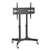 Manhattan 462679 itin žema TV vežimėlis, 23-70 colių, 40 kg