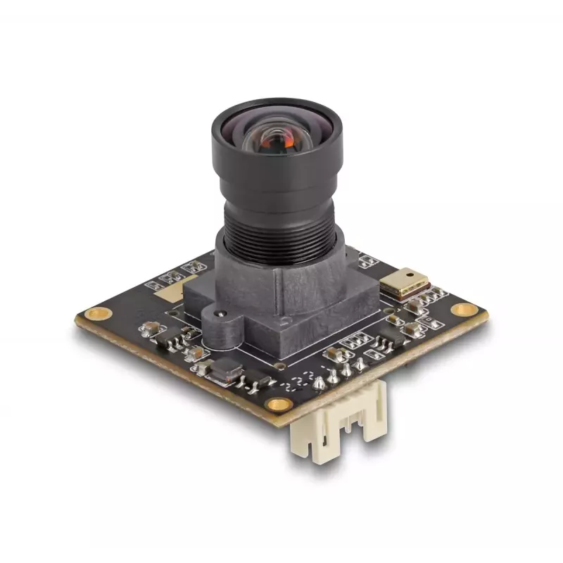 DeLOCK Internetinė kamera 12074 2,1 MP 1920 x 1080 USB 2.0 Juoda