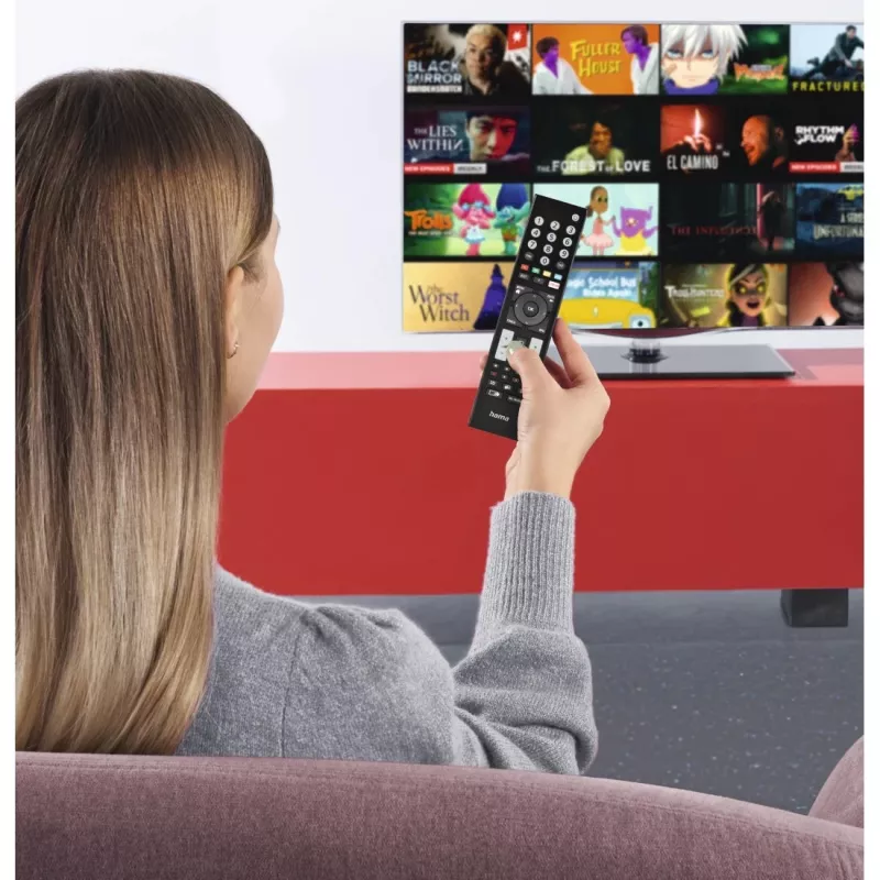 Hama 00221065 nuotolinio valdymo pultelis IR Wireless TV Spaudžiami mygtukai
