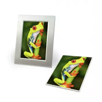 Foto popierius Avery C2549-20P Didelis blizgesys