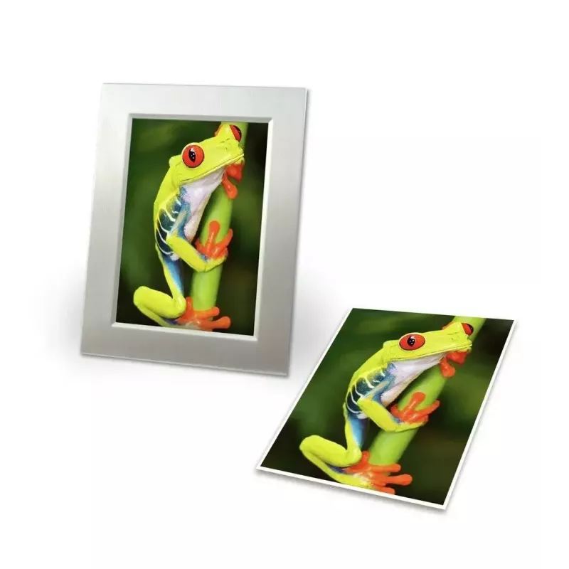 Foto popierius Avery C2549-20P Didelis blizgesys