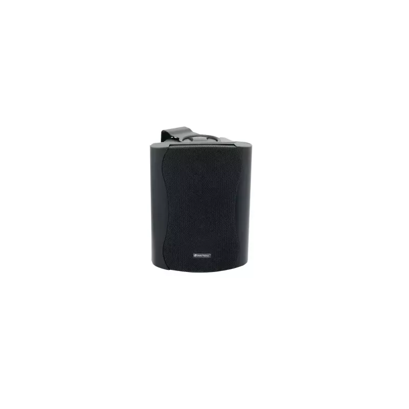 2 krypčių garsiakalbis Omnitronic 11036714 40 W