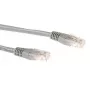 ACT pilkas 0,25 metro LSZH U/UTP CAT6A komutacinis kabelis su RJ45 jungtimis