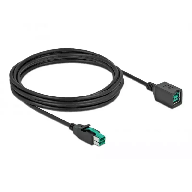 Maitinamas USB ilginamasis laidas DeLOCK 85983 12 V 4 m juodas