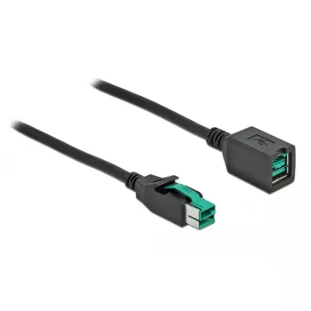 Maitinamas USB ilginamasis laidas DeLOCK 85983 12 V 4 m juodas