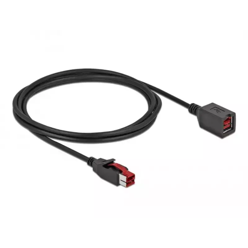 Maitinamas USB ilginimo kabelis DeLOCK 85986 24 V 2 m Juodas