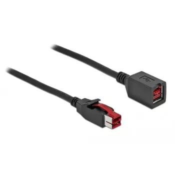 Maitinamas USB ilginamasis kabelis DeLOCK 85988 24 V 4 m Juodas