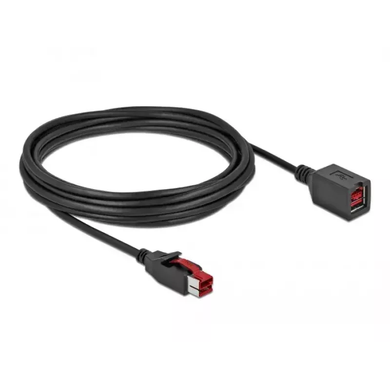 Maitinamas USB ilginamasis laidas DeLOCK 85989 24 V 5 m