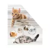 Žurnalų laikiklis HERMA Stehsammler Katzen A4 geltonas