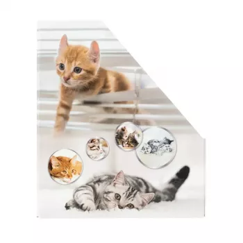 Žurnalų laikiklis HERMA Stehsammler Katzen A4 geltonas