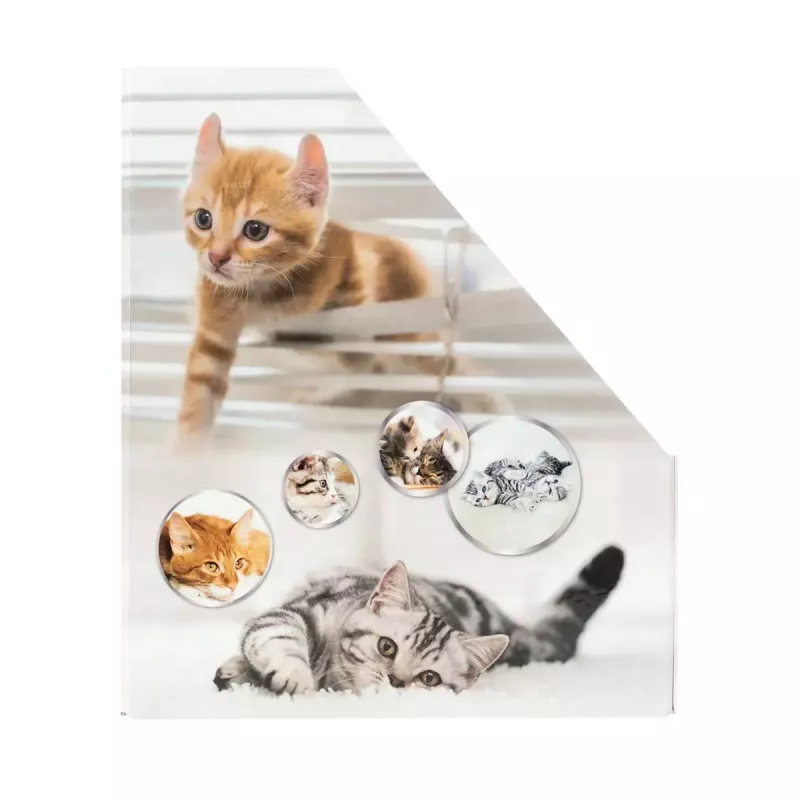 Žurnalų laikiklis HERMA Stehsammler Katzen A4 geltonas