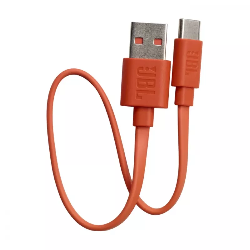 JBL LIVE FLEX ausinės belaidės į ausis įdedamos skambučiams / muzikai Bluetooth sidabrinės