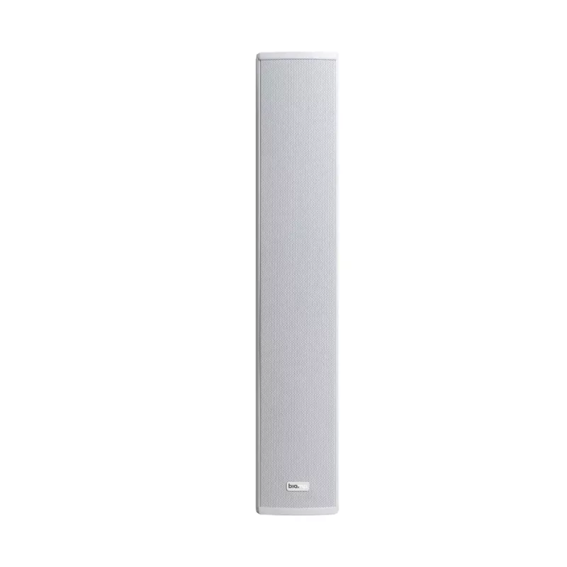 Biamp Desono COLW41 2 krypčių baltas laidinis 40 W