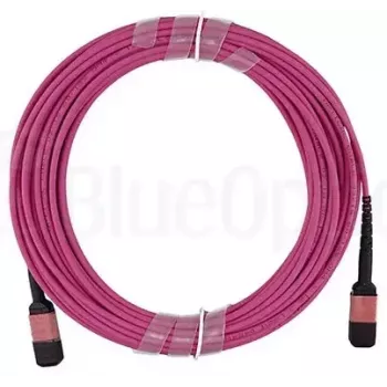 Skaidulinis optinis kabelis BlueOptics CBX-STC012BPF-MXXN-MXXN-001M-BO MTP OM4 1 m Rožinis