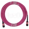 Šviesolaidinis kabelis BlueOptics CBX-STH008BPQ-MXXN-UC4N-001M-BO MTP 4xLC OM4 1 m Rožinis