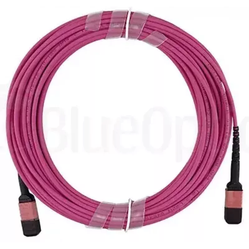 Šviesolaidinis kabelis BlueOptics CBX-STH008BPQ-MXXN-UC4N-001M-BO MTP 4xLC OM4 1 m Rožinis