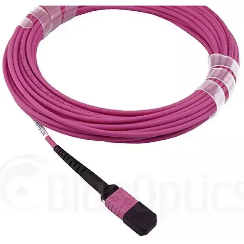 Šviesolaidinis kabelis BlueOptics CBX-STH008BPQ-MXXN-UC4N-001M-BO MTP 4xLC OM4 1 m Rožinis