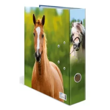 Segtuvas su žiedais A4 Herma 20097 — kartoninis dokumentų segtuvas, A4 formatas, vienetinis paketas
