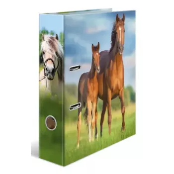Segtuvas su žiedais A4 Herma 20097 — kartoninis dokumentų segtuvas, A4 formatas, vienetinis paketas