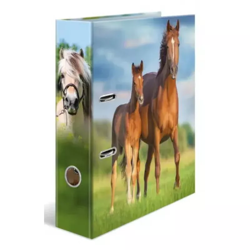 Segtuvas su žiedais A4 Herma 20097 — kartoninis dokumentų segtuvas, A4 formatas, vienetinis paketas