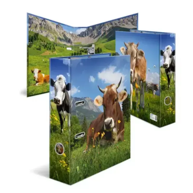 Segtuvas A4 Herma 20140, kartoninis, A4 formato, vienetinis, įvairiaspalvis
